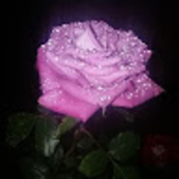 Meet your Posher, Lucrecia - Picture 1 of 1